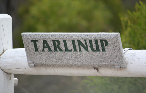 Tarlinup